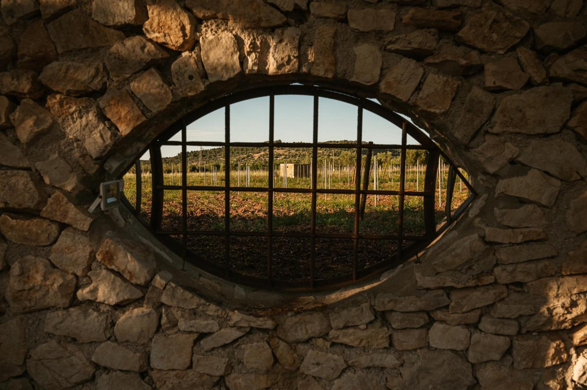 Tenuta Padre Pio Βιέστε Εξωτερικό φωτογραφία