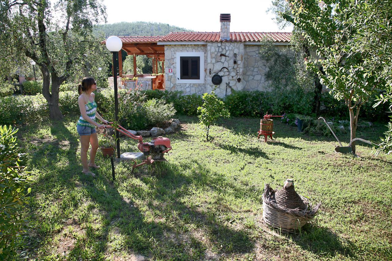 Tenuta Padre Pio Βιέστε Εξωτερικό φωτογραφία